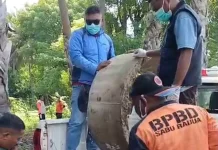 Cegah Leptospirosis Terulang, Pemkab Sabu Raijua Bangun Biopori