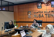 Kinerja Penerimaan Pajak NTT Tumbuh Positif, Dorong Optimisme Ekonomi Daerah