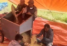 Babinsa Loli Perkuat Ketahanan Pangan Bersama Warga Sumba