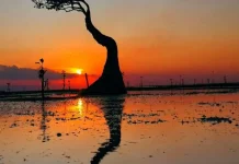 Senja Magis di Pantai Walakiri, Surga Ikonik Sumba Timur