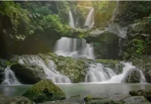 Pesona Jembatan Alam Air Terjun Padha Watu