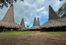 Pesona Kampung Adat Ratenggaro, Warisan Megalitikum Sumba