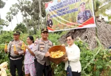 Panen Raya Jagung, Bukti Dukungan Program Nasional