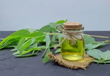 Tips Memoleskan Minyak Kayu Putih yang Benar: Manfaat, Jenis Sakit, dan Cara Pengguna