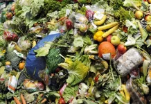 Hari tanpa Sampah Internasional Soroti Krisis Limbah Makanan Global