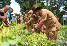 Gubernur NTT Panen Cabai, Dorong Penguatan Vokasi di TTU