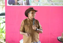 Sekolah Vokasi Insana Jadi Model Pengembangan Keterampilan Siswa