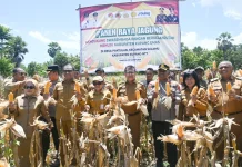 Produktivitas Jagung NTT Meningkat Dua Kali Lipat Tahun Ini
