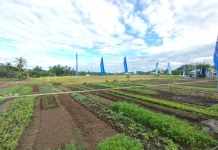Direktur Politani dan Petani Soroti Agro Ekowisata Mata Air