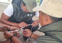 BBKSDA NTT Penanganan Komodo Dilindungi dengan Undang-Undang