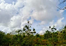 BMKG: Hari tanpa Hujan NTT Kagetori Lebih Panjang, Dasarian I April 2026