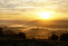 Jangan Remehkan Pagi, Rahasia Berkah Hidup Muslim