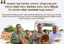 Gubernur NTT Dorong Hilirisasi Produk Lokal Berbasis Strategi TAPA OKE JU