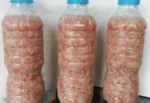 Dari Udang Rebon, Cencalok Jadi Warisan Rasa Legendaris