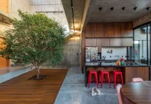 Inspirasi Rumah Modern dengan Pohon Hidup Indoor