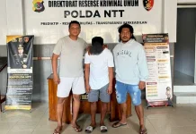 Pelaku Calo Tiket Pelni di Kupang Diamankan Polisi