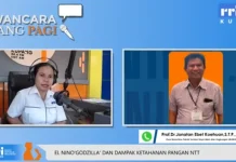 Ancaman El Nino Godzilla: Pakar UKAW Ingatkan Dampak Serius bagi Ketahanan Pangan