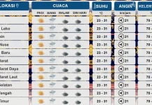 BMKG: Hujan Ringan hingga Sedang Dominasi Cuaca Rote Ndao