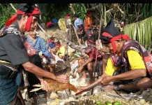 Masyarakat Sumba Menjaga Tradisi Kepercayaan Marapu Secara Turun-Temurun