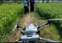 Inovasi Drone Membantu Petani Memantau Lahan Pertanian Secara Efisien