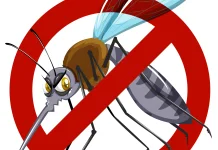 Waspada Malaria Impor, Sumba Timur Perketat Skrining di Pintu Masuk