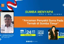 Lalu Lintas Ternak Sumba Timur Wajib Periksa Darah