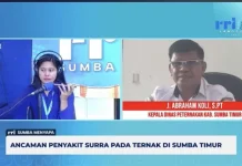 Kebersihan Kandang Kunci Utama Cegah Penularan Penyakit Surra