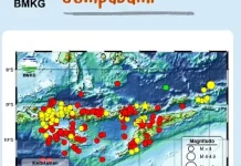 BMKG Catat 229 Gempa Bumi Guncang NTT dalam Sepekan