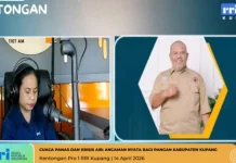 Waspada Fenomena "Godzilla El Nino", Kabupaten Kupang Siapkan Strategi Mitigasi