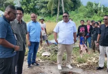 Yayasan Alfa Omega Sinode GMIT Panen  Padi Organik