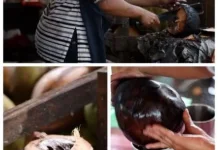 Tren Kuliner Sehat: Mengungkap Segudang Manfaat Kelapa Bakar bagi Tubuh