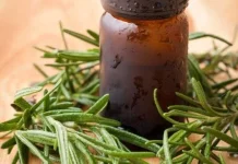 Kegunaan Rosemary untuk Rambut
