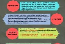 Waspada Banjir Rob Pesisir NTT Akhir April hingga Mei 2026