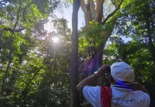 TWA Camplong Simpan Pesona Wisata Alam yang Menenangkan di Kabupaten Kupang
