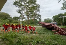 Sambut Hari Buruh, PLN Terangi Dusun Trans Halituku di Garda Terdepan NKRI