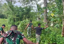 Satgas TMMD Lakukan Pembersihan Jalan Desa  Umbu Wango Sumba Barat
