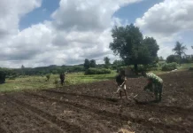 Babinsa Koramil Waingapu Bantu Warga Siapkan Bedeng Sayuran