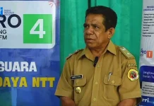 Dana Desa Oeteta Dipotong Pemerintah untuk Program Kopdes Merah Putih