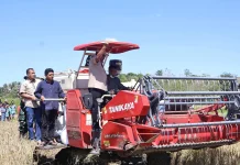 Bupati dan Wakil Bupati Sumba Timur Panen Padi Secara Simbolis di Desa Tanarara