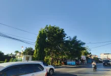 Dasarian II Mei, Curah Hujan di NTT Rendah.