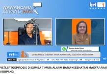 Dua Kasus Leptospirosis Pertama Ditemukan di Sumba Timur