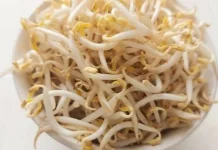 Manfaat ketika Makan Toge Seminggu