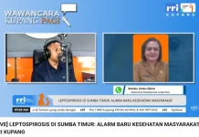 Dinkes Sumba Timur Imbau Warga Waspadai Penularan Penyakit Leptospirosis