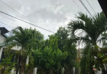 BMKG Peringatkan Hujan Lebat Melanda Sejumlah Wilayah NTT