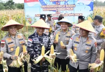 Kuartal II Tahun 2026 Polda NTT Berhasil Panen 45,5 ton Jagung Pipilan Kering
