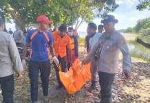 Seorang Diterkam Buaya ketika Mandi di Sungai