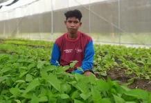 Kaleb Naitboho, Petani Difabel yang Memberi Inspirasi