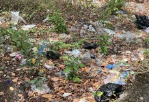 Kendaraan Pengangkut Sampah Jadi Keluhan Warga Alak Kota