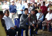 Wapres Tinjau Potensi Rumput Laut dan Tambak Garam Rote Ndao