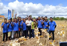 Lapas Kelas IIA Kupang Panen Raya Jagung Dukung Ketahanan Pangan Nasional